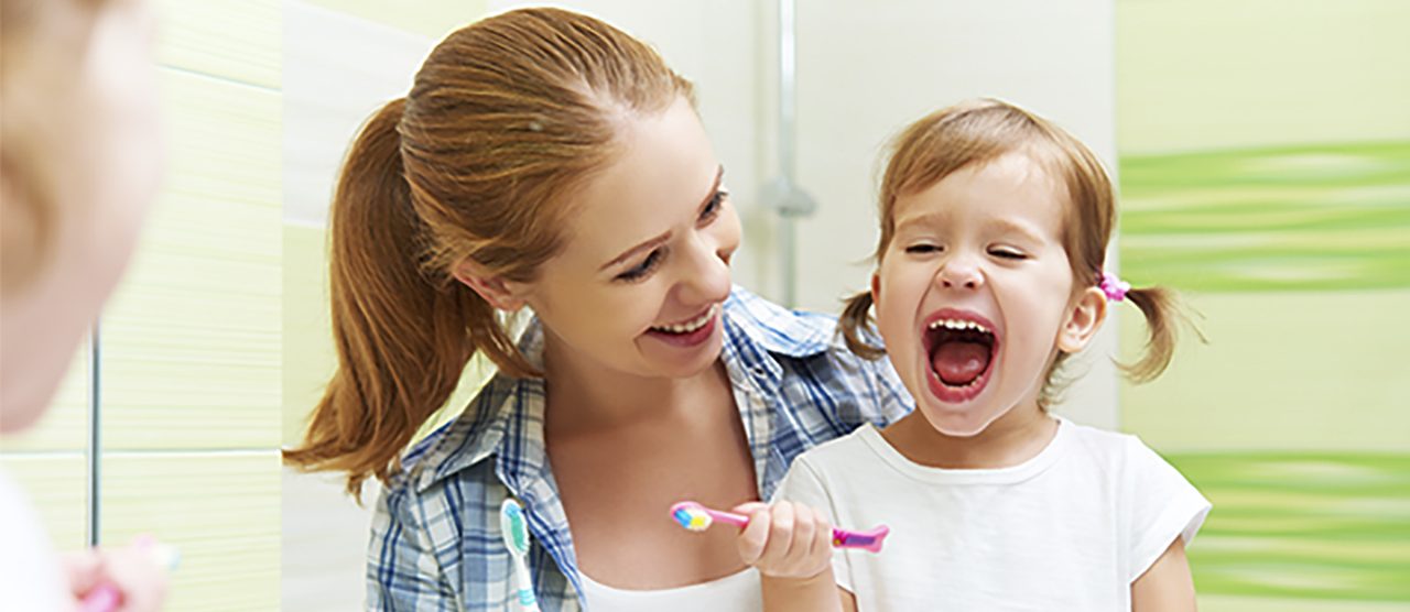 Seguro Dental Seguro Dental